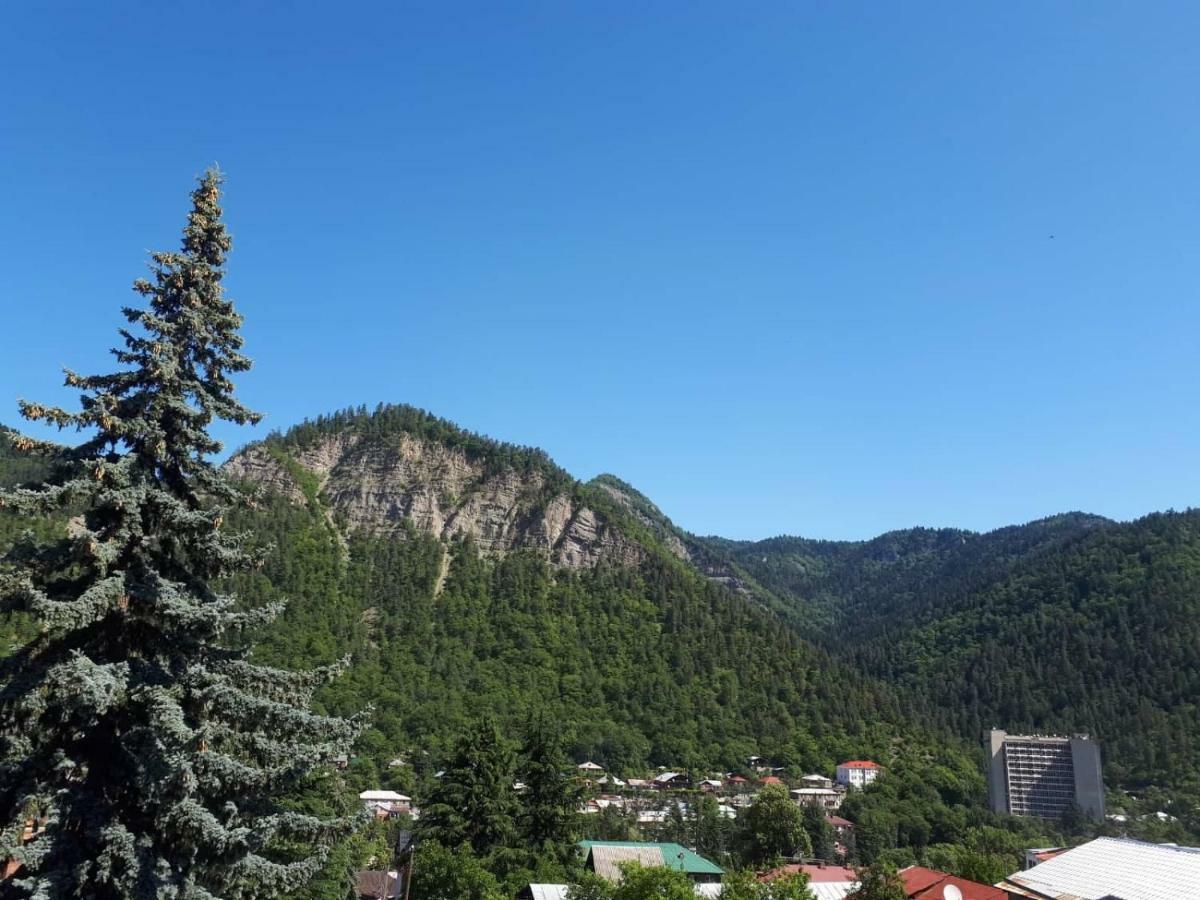 House Lia Hotel Borjomi Exterior photo